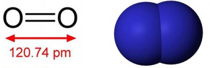 Кислород ГАЗ. Озон о3. Молекула оксида азота. Оксоанионы.
